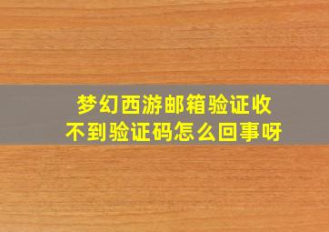 梦幻西游邮箱验证收不到验证码怎么回事呀