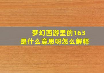 梦幻西游里的163是什么意思呀怎么解释