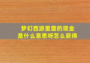 梦幻西游里面的现金是什么意思呀怎么获得