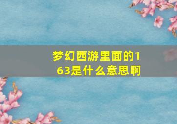 梦幻西游里面的163是什么意思啊