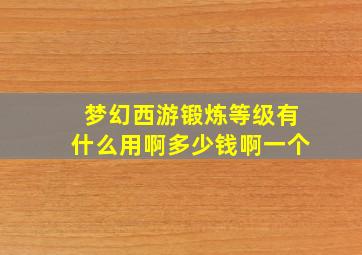 梦幻西游锻炼等级有什么用啊多少钱啊一个