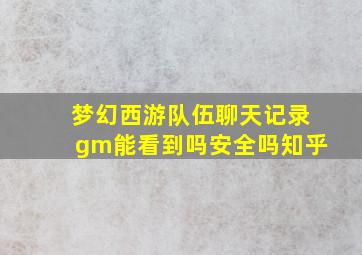 梦幻西游队伍聊天记录gm能看到吗安全吗知乎