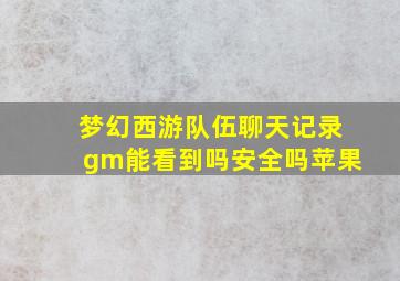 梦幻西游队伍聊天记录gm能看到吗安全吗苹果