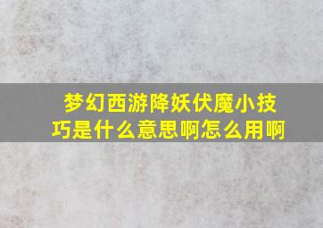 梦幻西游降妖伏魔小技巧是什么意思啊怎么用啊