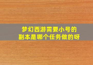 梦幻西游需要小号的副本是哪个任务做的呀