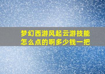 梦幻西游风起云游技能怎么点的啊多少钱一把