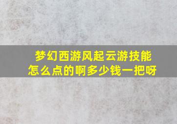 梦幻西游风起云游技能怎么点的啊多少钱一把呀