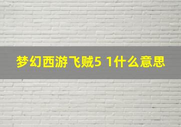 梦幻西游飞贼5+1什么意思