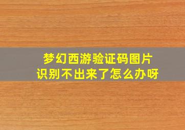 梦幻西游验证码图片识别不出来了怎么办呀