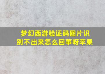 梦幻西游验证码图片识别不出来怎么回事呀苹果