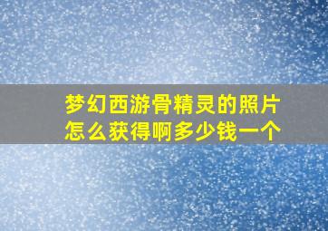 梦幻西游骨精灵的照片怎么获得啊多少钱一个