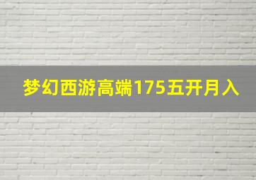 梦幻西游高端175五开月入