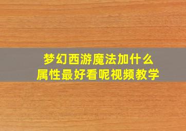 梦幻西游魔法加什么属性最好看呢视频教学