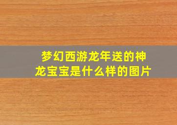 梦幻西游龙年送的神龙宝宝是什么样的图片