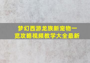 梦幻西游龙族新宠物一览攻略视频教学大全最新