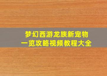 梦幻西游龙族新宠物一览攻略视频教程大全