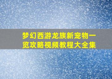 梦幻西游龙族新宠物一览攻略视频教程大全集