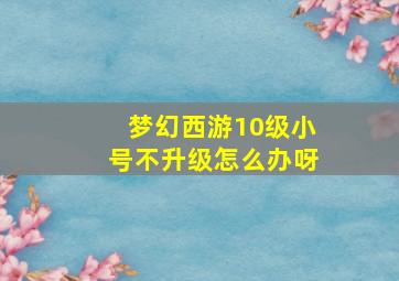 梦幻西游10级小号不升级怎么办呀