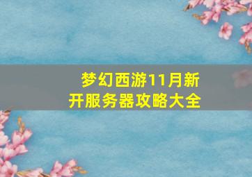 梦幻西游11月新开服务器攻略大全