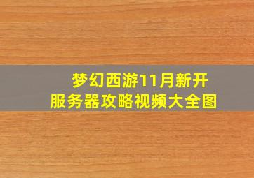 梦幻西游11月新开服务器攻略视频大全图