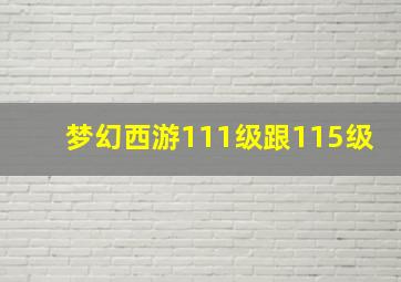 梦幻西游111级跟115级