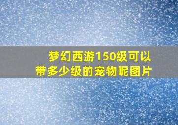 梦幻西游150级可以带多少级的宠物呢图片