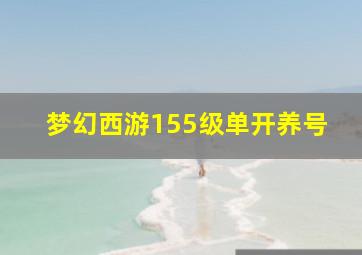 梦幻西游155级单开养号