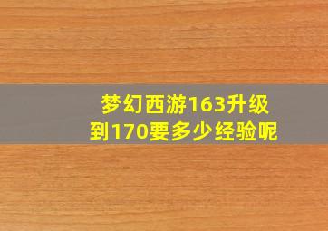 梦幻西游163升级到170要多少经验呢