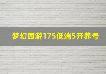 梦幻西游175低端5开养号