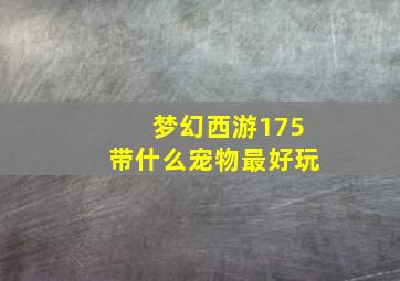 梦幻西游175带什么宠物最好玩