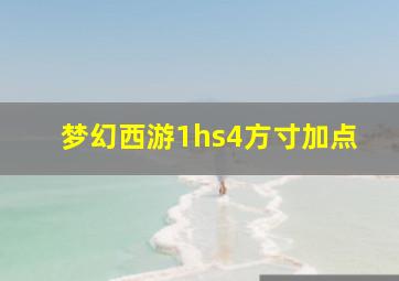 梦幻西游1hs4方寸加点