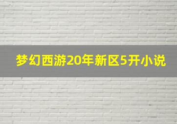 梦幻西游20年新区5开小说