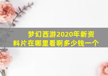 梦幻西游2020年新资料片在哪里看啊多少钱一个