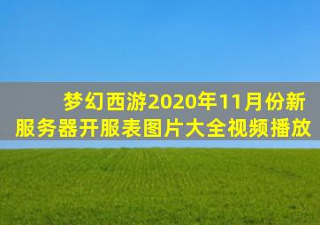 梦幻西游2020年11月份新服务器开服表图片大全视频播放