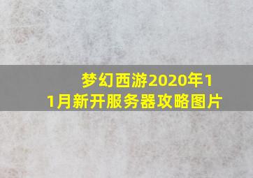 梦幻西游2020年11月新开服务器攻略图片