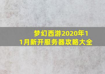 梦幻西游2020年11月新开服务器攻略大全