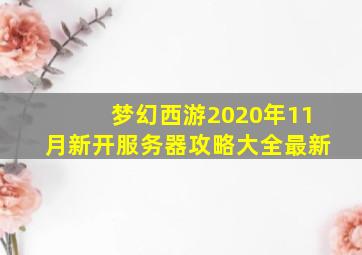 梦幻西游2020年11月新开服务器攻略大全最新