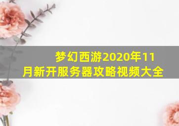 梦幻西游2020年11月新开服务器攻略视频大全