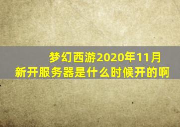 梦幻西游2020年11月新开服务器是什么时候开的啊