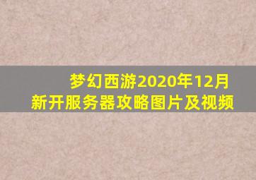 梦幻西游2020年12月新开服务器攻略图片及视频