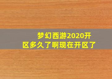 梦幻西游2020开区多久了啊现在开区了