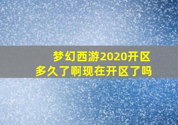 梦幻西游2020开区多久了啊现在开区了吗