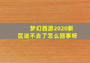 梦幻西游2020新区进不去了怎么回事呀