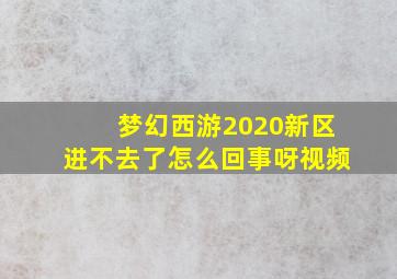 梦幻西游2020新区进不去了怎么回事呀视频