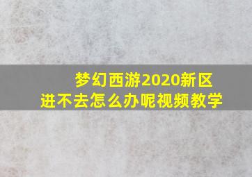 梦幻西游2020新区进不去怎么办呢视频教学