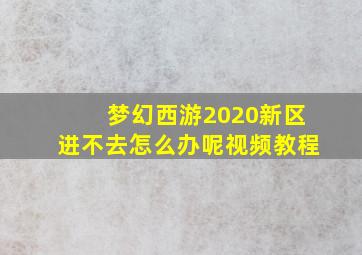 梦幻西游2020新区进不去怎么办呢视频教程