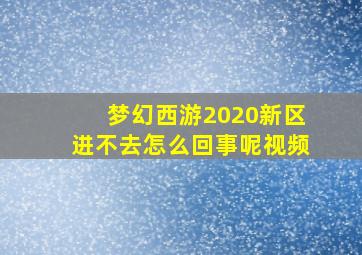 梦幻西游2020新区进不去怎么回事呢视频