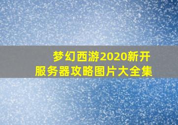 梦幻西游2020新开服务器攻略图片大全集