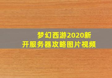 梦幻西游2020新开服务器攻略图片视频