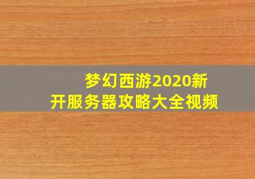 梦幻西游2020新开服务器攻略大全视频